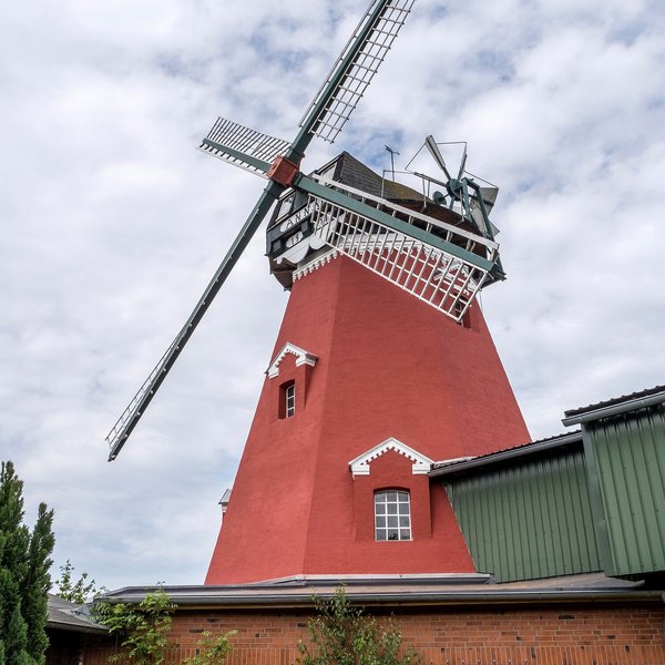 die rote Windmühle Anna in Nübbel 