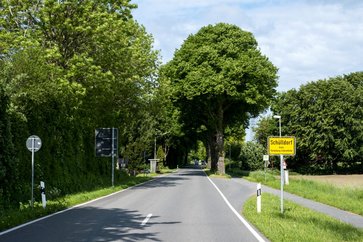 Straße nach Schülldorf Mittelholstein