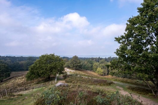 Aussichten Boxberg Naturpark Aukrug