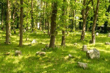 Freizeit Ausflugstipp Natur