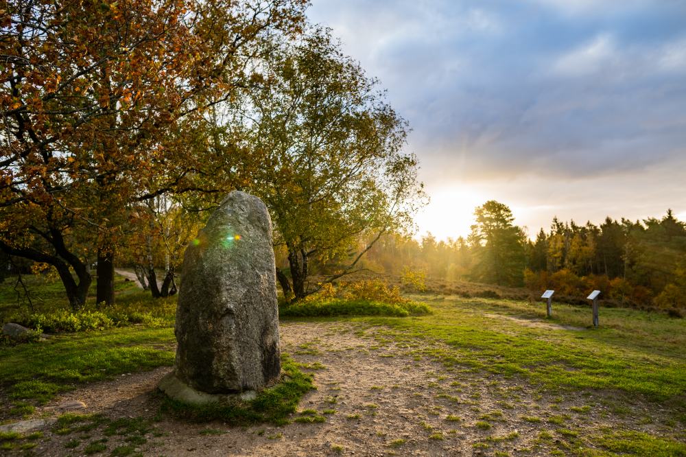 Sonnenlicht erstrahlt Stein im Naturpark Aukrug