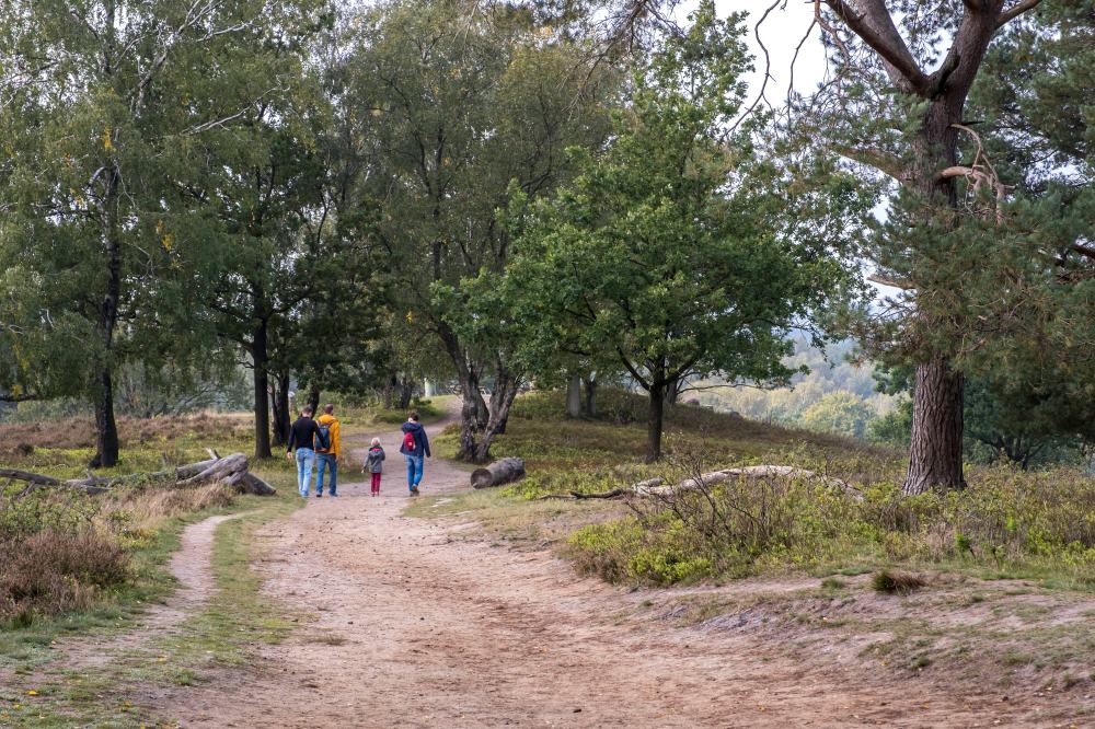 Wanderwege im Naturpark Aukrug Boxberg