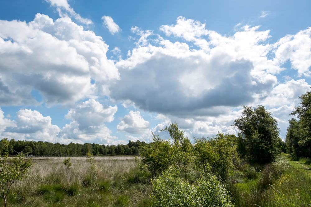 Wandern und Radfahren in der Landschaft von Mittelholstein