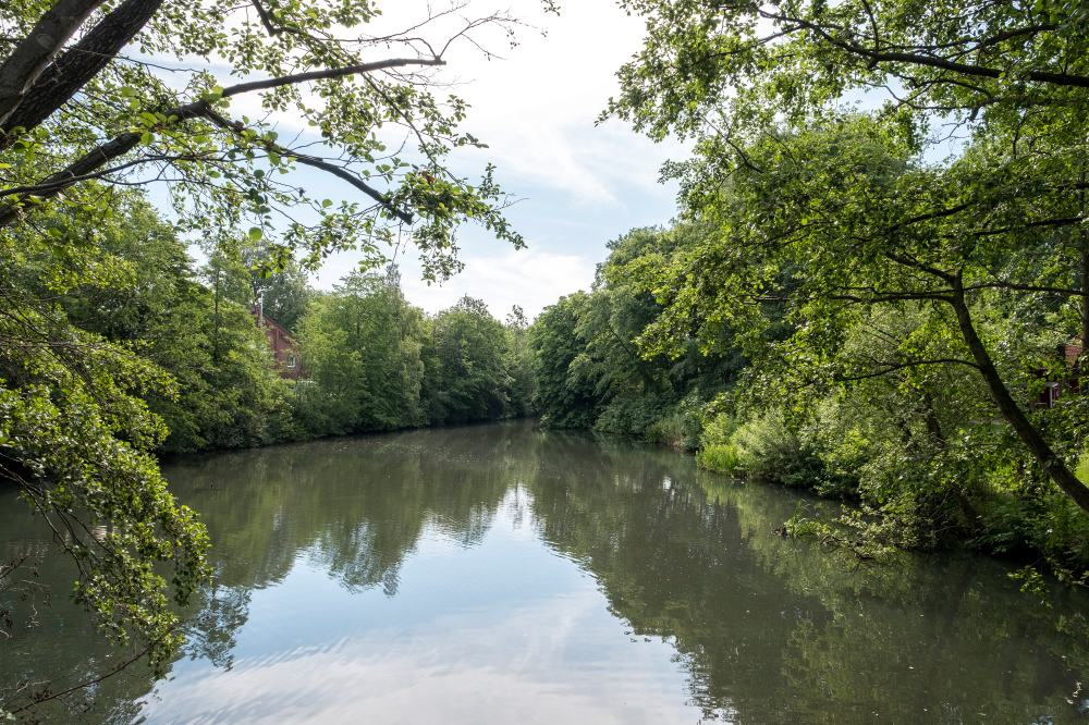 Rundgang um den Stadtsee