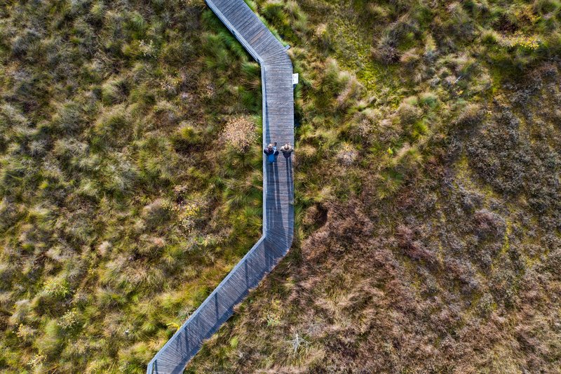 Zwei Menschen spazieren auf einem Holzweg durch das Dosenmoor, umgeben von Gras und Vegetation.