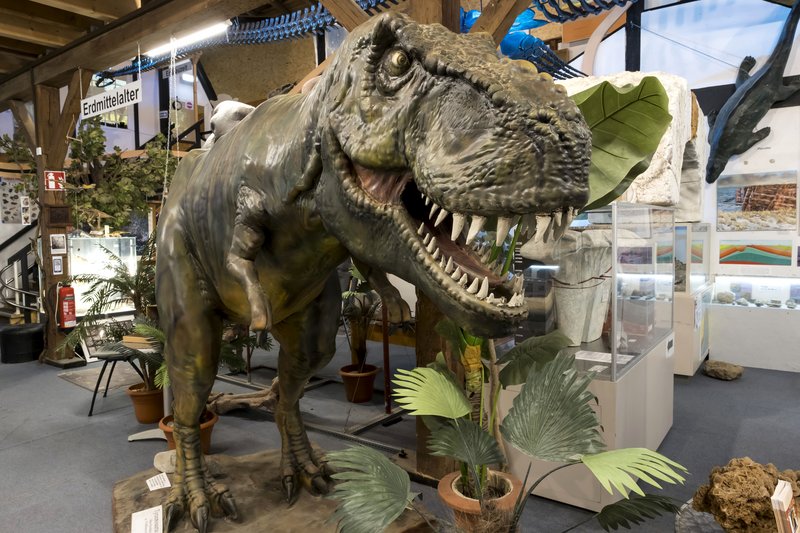 Ein Dinosauriermodell in einem Museum, umgeben von Pflanzen und Ausstellungsstücken.