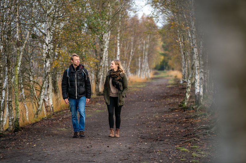 Zwei Menschen spazieren auf einem Waldweg im Dosenmoor, umgeben von Birkenbäumen.