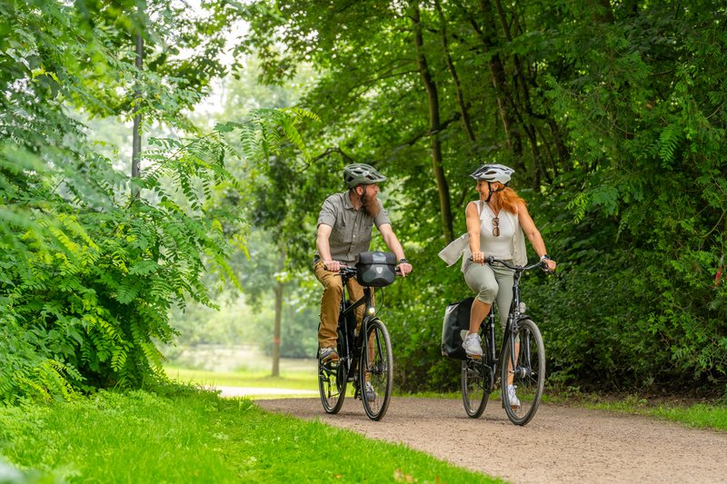 Radfahrer in einer saftig grünen Landschaft auf dem Ochsenweg