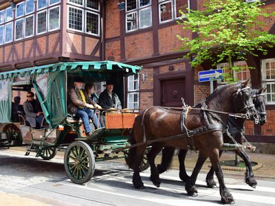 Peper - mit Pferd und Wagen