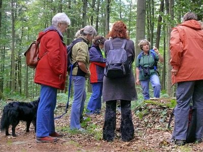 Natur mit Muße erleben
