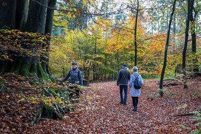 Waldbaden am Boxberg im Naturpark Aukrug