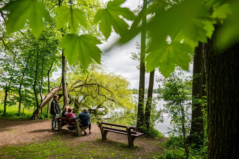 Menschen sitzen auf einer Bank am Bordesholmer See, umgeben von grünen Bäumen und Blättern.