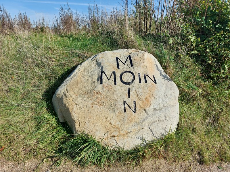 Ein großer Stein mit der Aufschrift 'MOIN' steht in einer grünen Wiese.