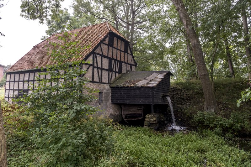 Eine historische Wassermühle mit Fachwerk und rotem Ziegeldach, umgeben von Bäumen und Vegetation.