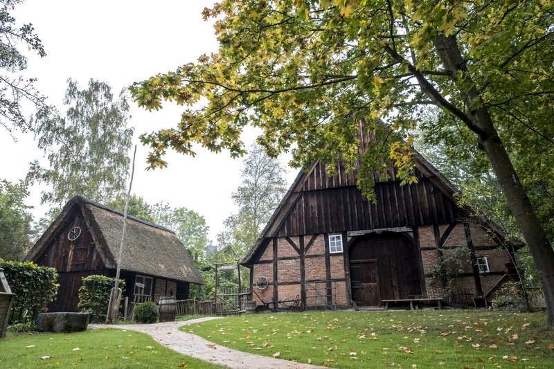 Historisches Fachwerkhaus mit Reetdach umgeben von Bäumen und grünem Rasen.