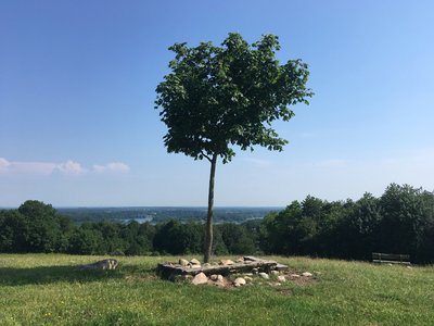 Naturpark Westensee