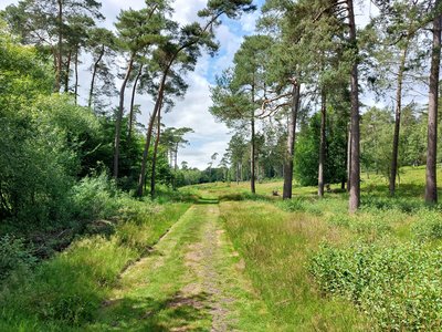 Tönsheider Rundweg