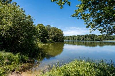 Badestelle des ev. Waldheims am Brahmsee