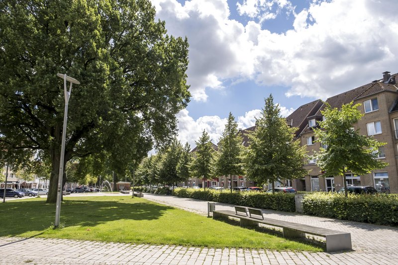 Ein grüner Park mit Bäumen, Bänken und einem Gehweg in einer städtischen Umgebung bei sonnigem Wetter.