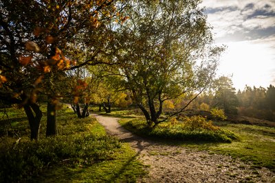 Naturpark-Wanderweg