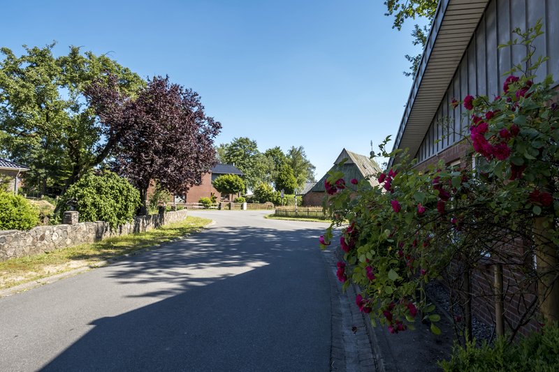 Eine ruhige Dorfstraße in Bargstedt mit Bäumen und Blumen an den Häusern.