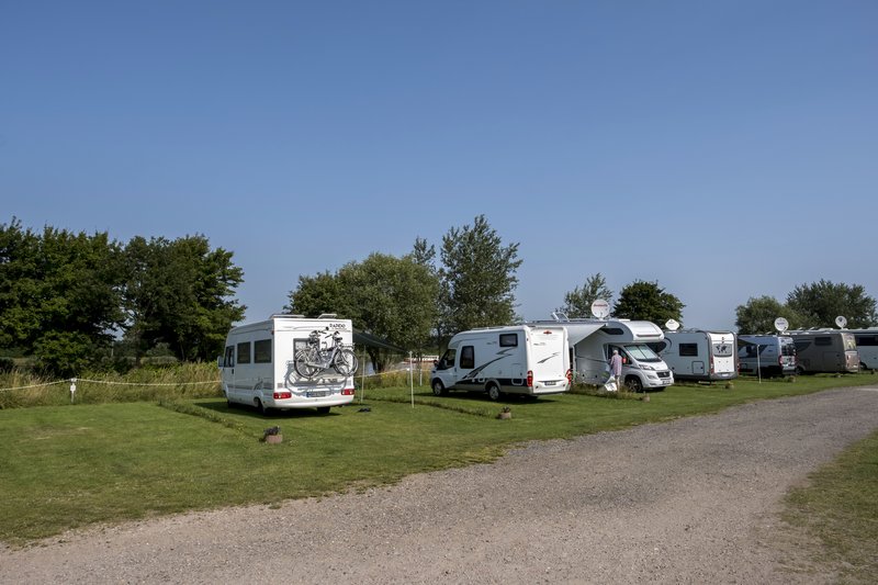 Wohnmobile parken auf einem grünen Campingplatz unter blauem Himmel.