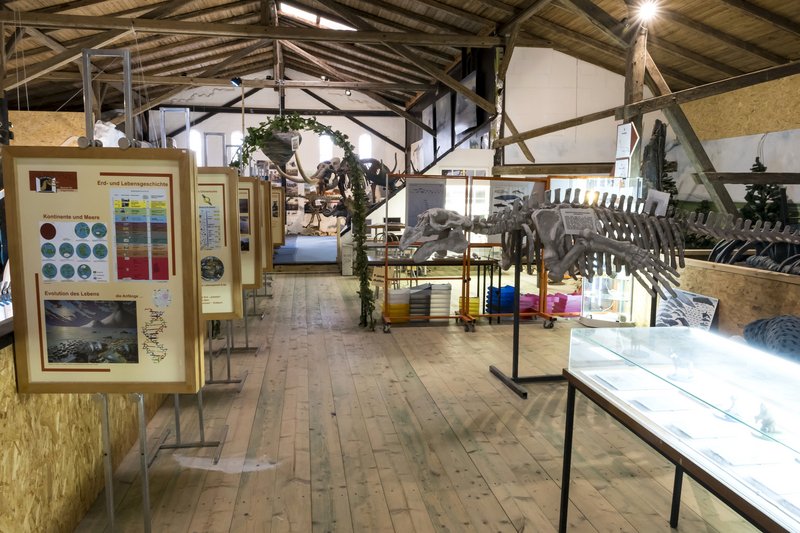 Innenansicht eines Museums mit Dinosaurierskeletten und Informationstafeln.