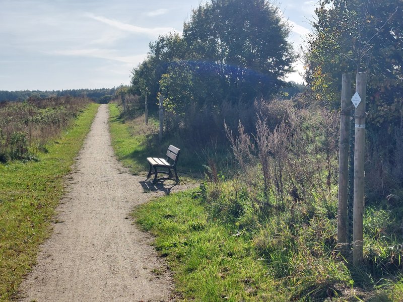 Ein schmaler, unbefestigter Weg führt durch eine grüne Landschaft. Rechts steht eine Bank, umgeben von Bäumen und Sträuchern unter einem klaren Himmel.