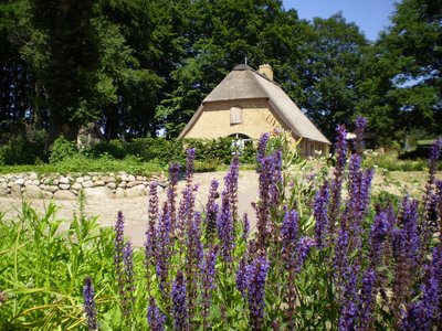 Radroute 3 Kolonistenhof