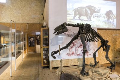 Tor zur Urzeit - Museum für Erdgeschichte