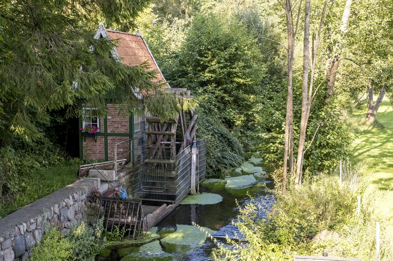 Eine alte Wassermühle mit einem hölzernen Wasserrad an einem kleinen Fluss, umgeben von üppigem Grün und Bäumen.