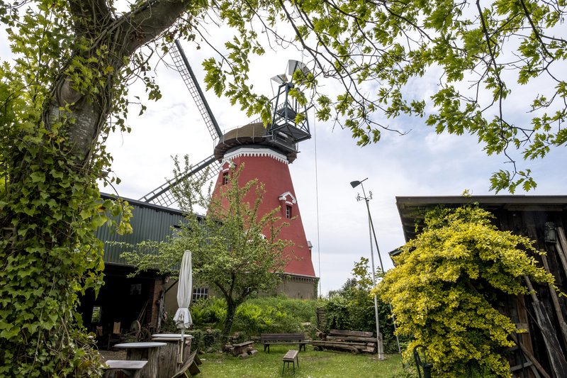 Eine rote Windmühle mit weißen Details, umgeben von Bäumen und einem Garten mit Sitzgelegenheiten.