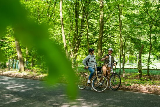 Radfahren 22©sh-tourismus.deMOCANOX.jpg