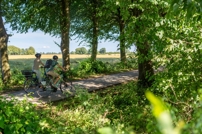Radfahrer fahren durch eine malerische Weisenlandschaft