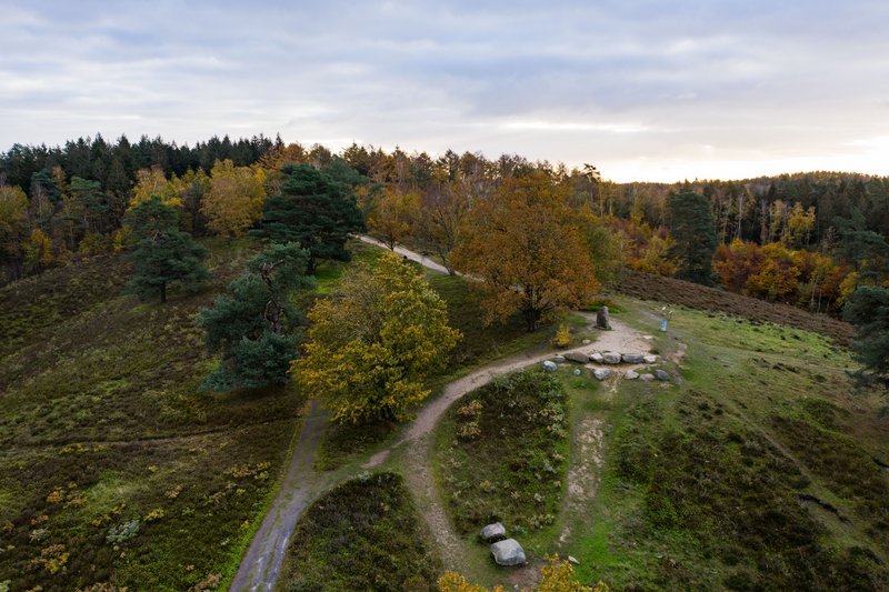Luftaufnahme des Boxbergs im Naturpark Aukrug mit herbstlichen Bäumen und Wanderwegen.