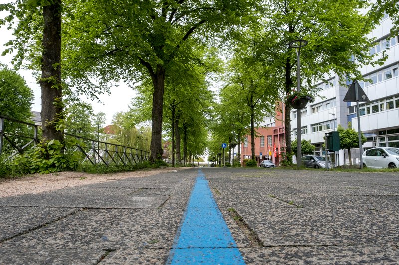 Ein blauer Streifen verläuft auf einem gepflasterten Weg, flankiert von Bäumen und Gebäuden in Rendsburg.