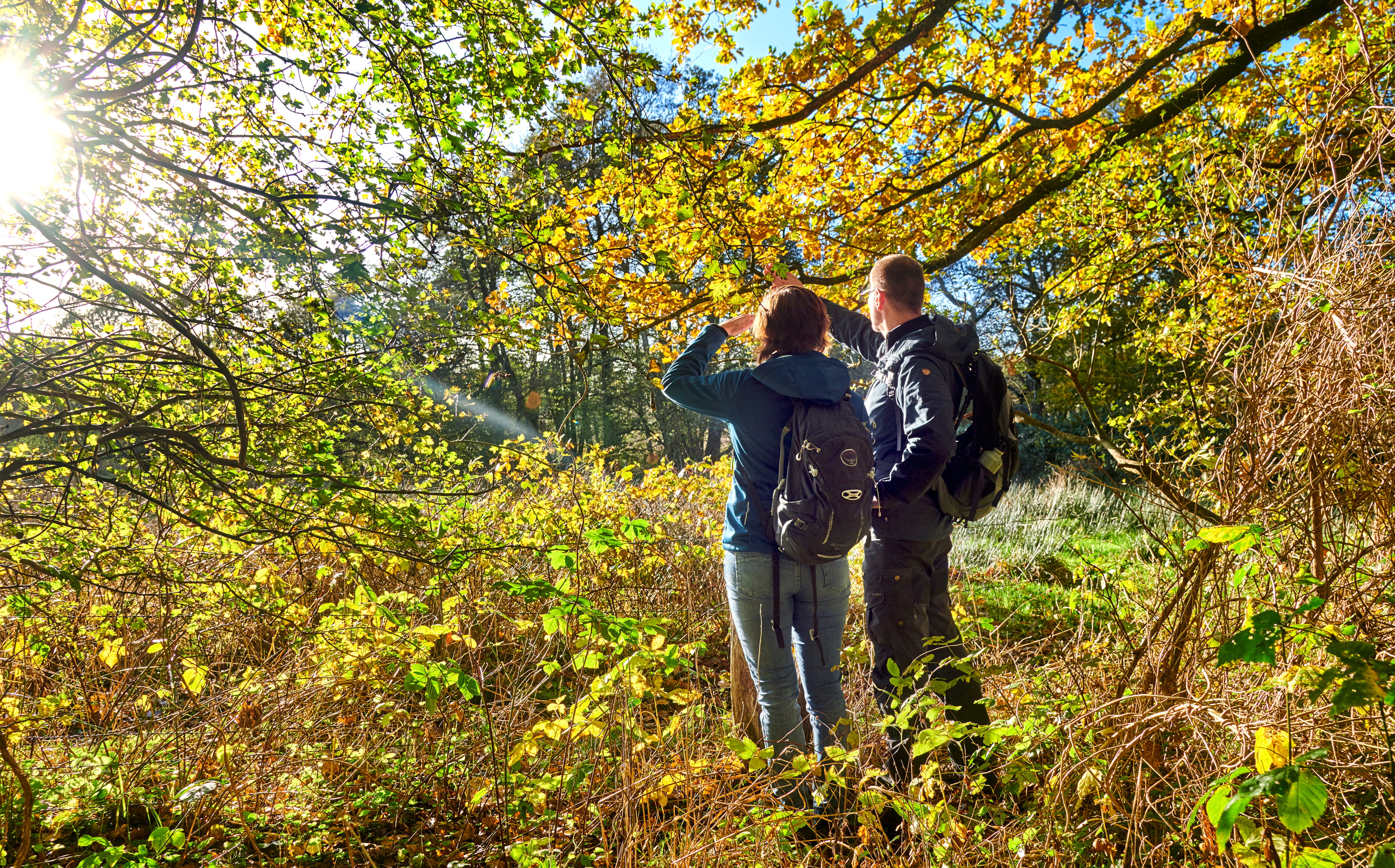 Nord-Ostsee-Wanderweg