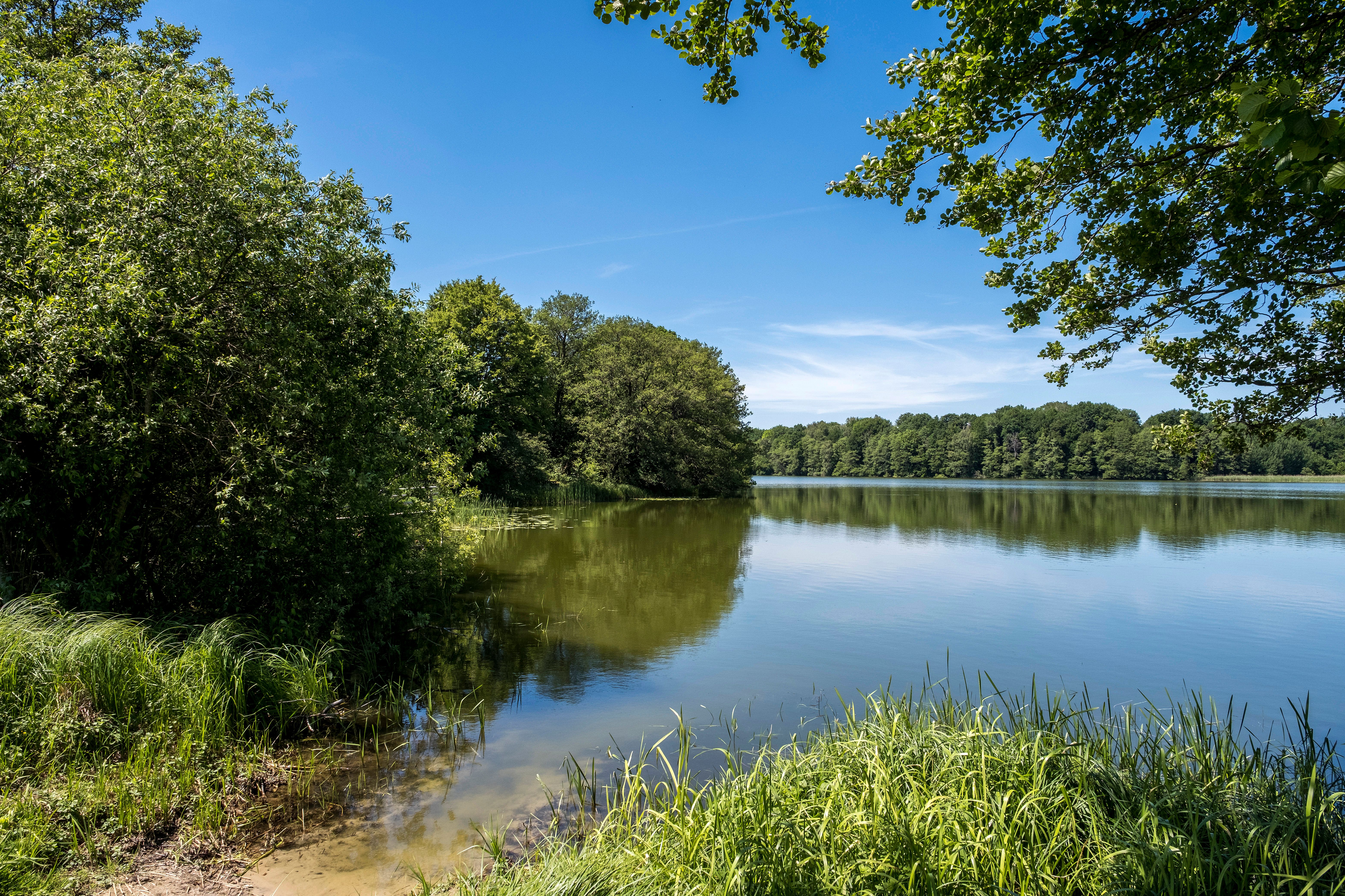 Badestelle des ev. Waldheims am Brahmsee