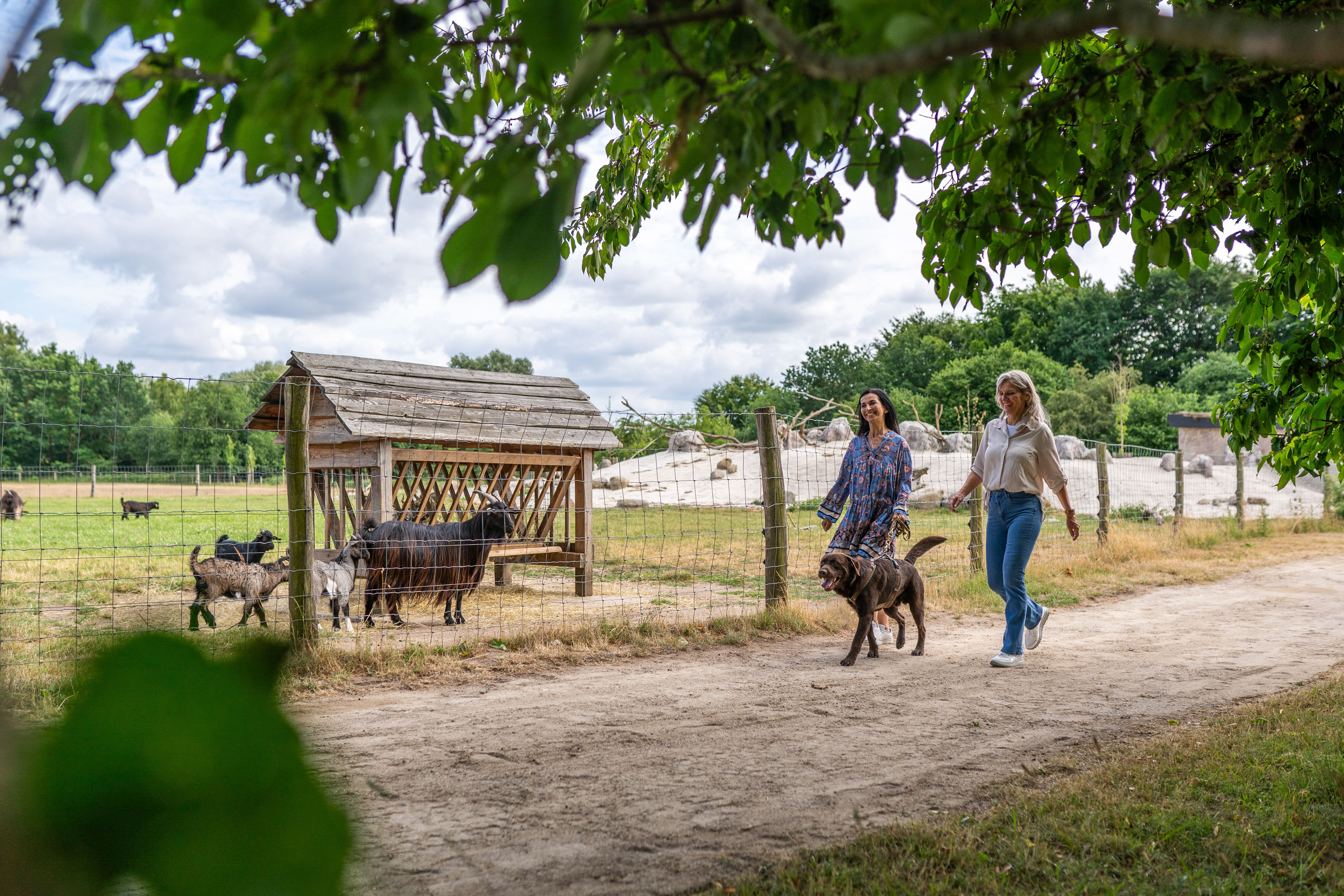 Tierpark Arche Warder