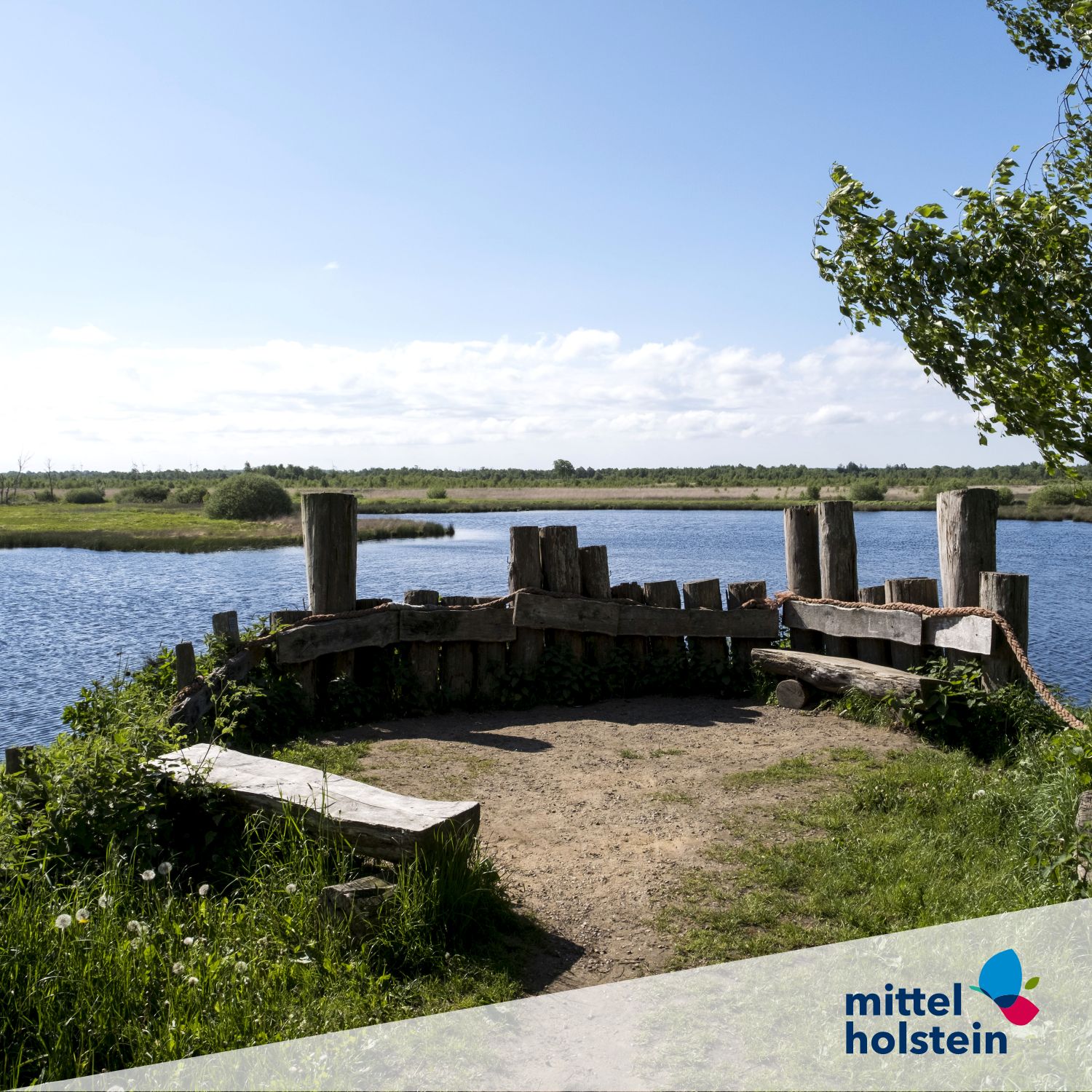 Wildes Moor