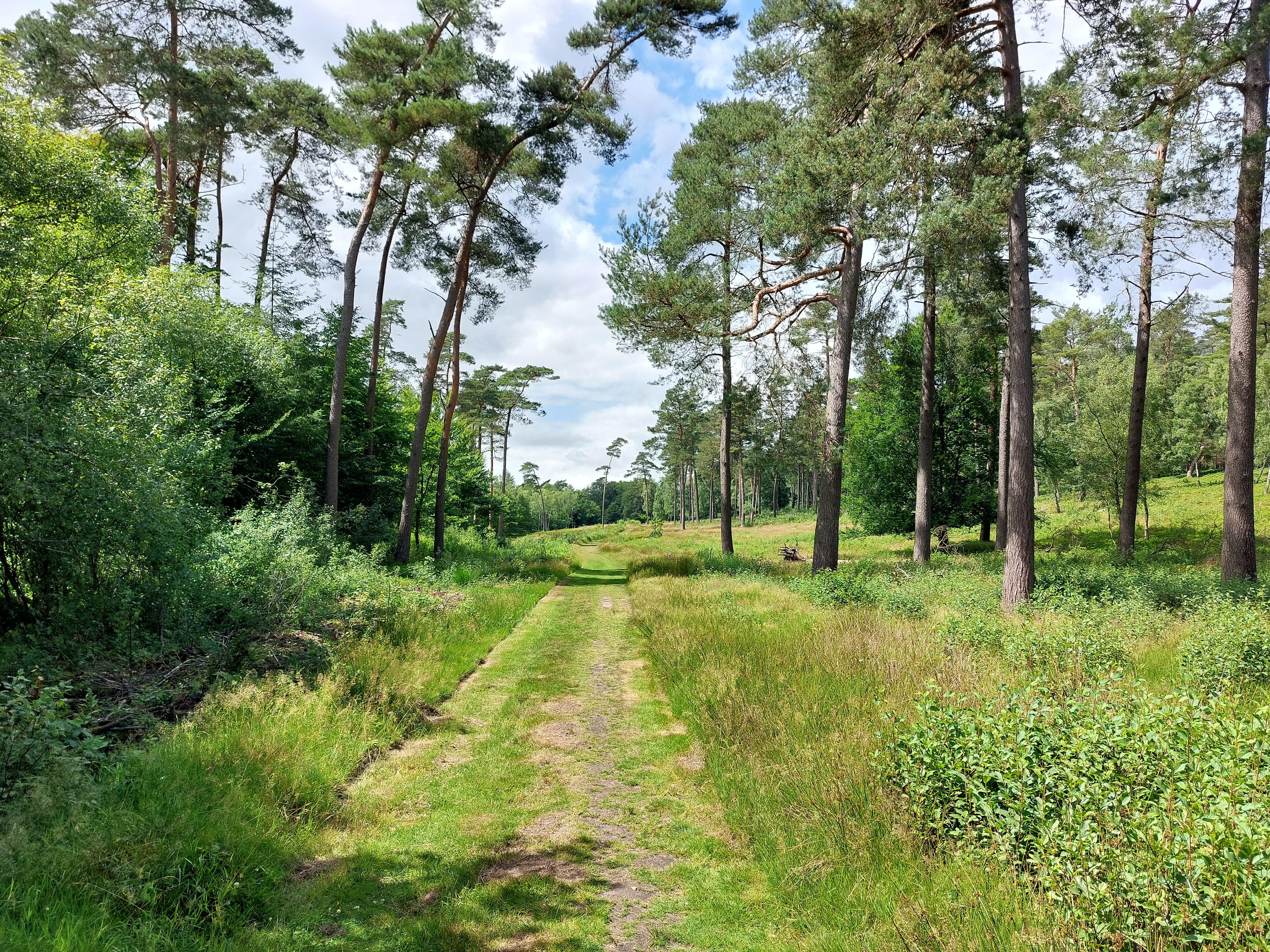 Tönsheider Rundweg