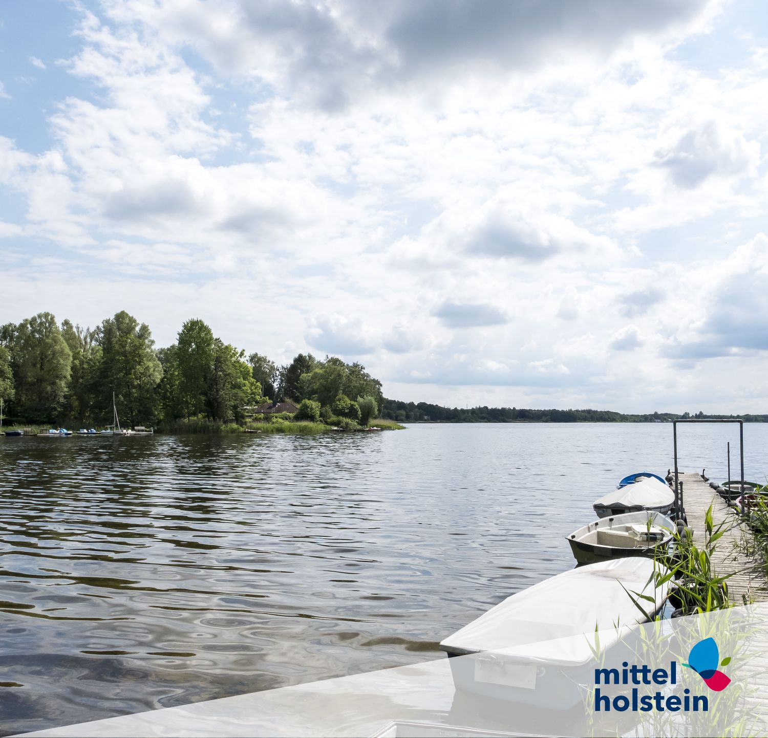 Brahmsee