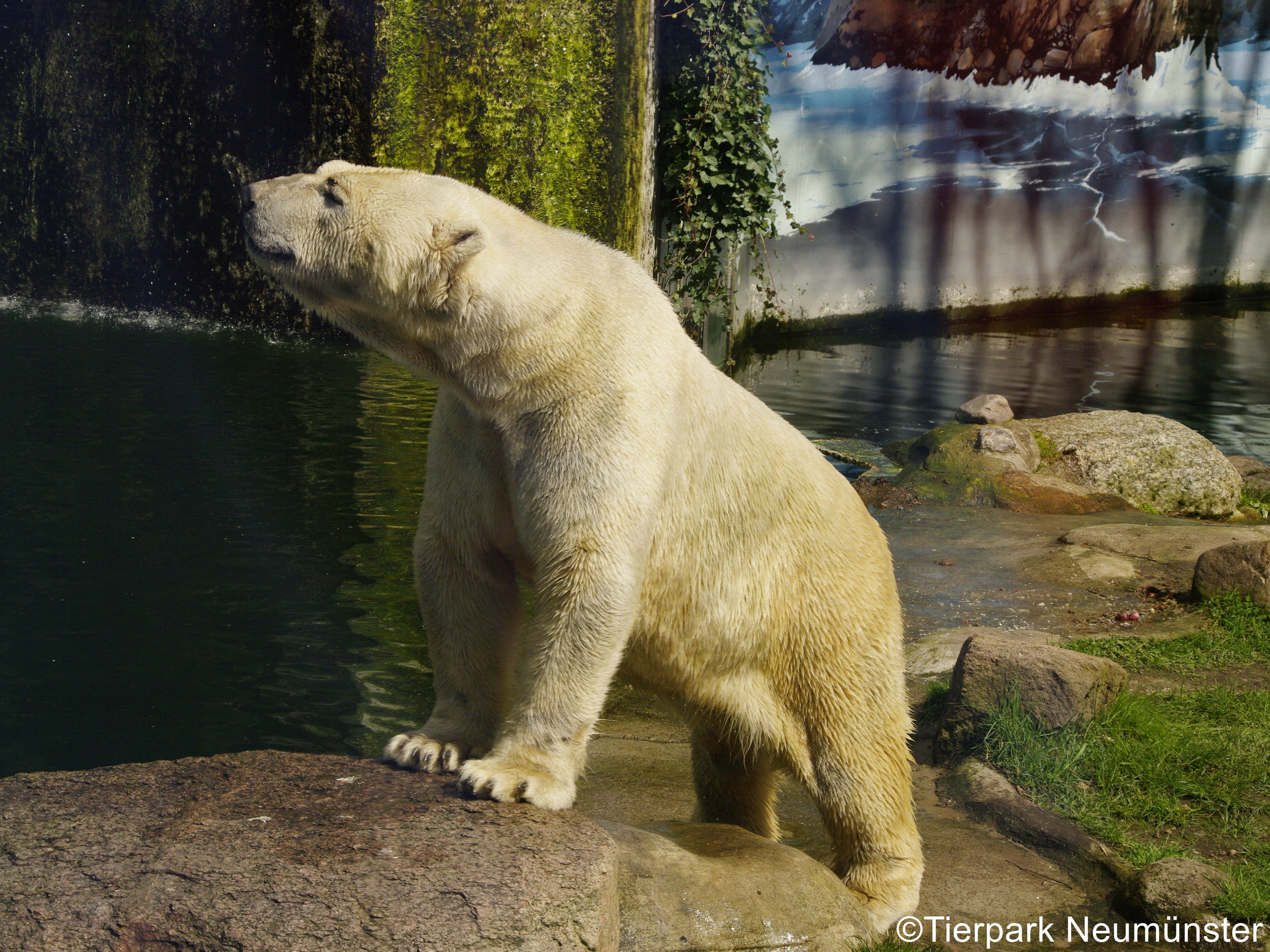 Tierpark Neumünster