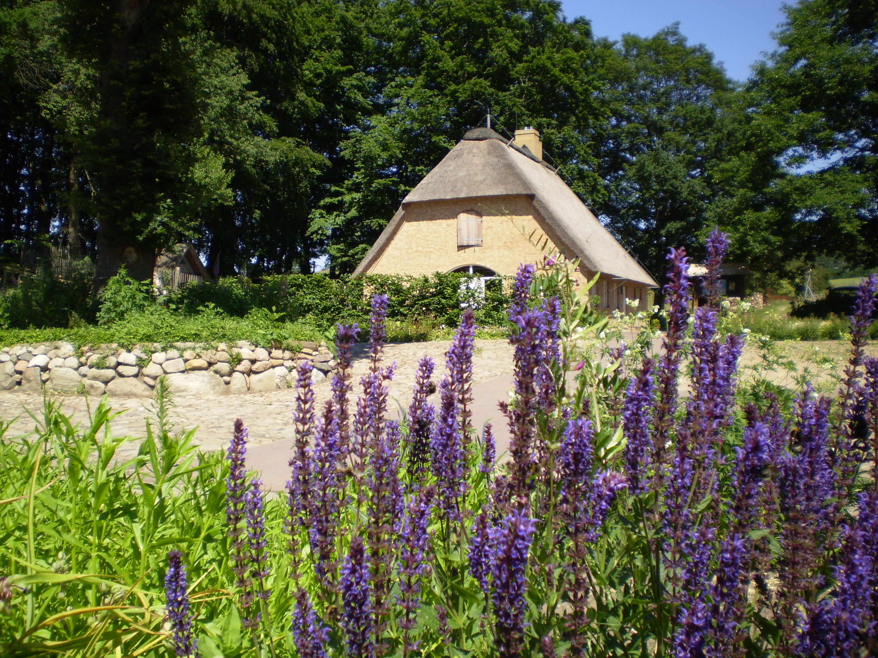 Radroute 3 Kolonistenhof