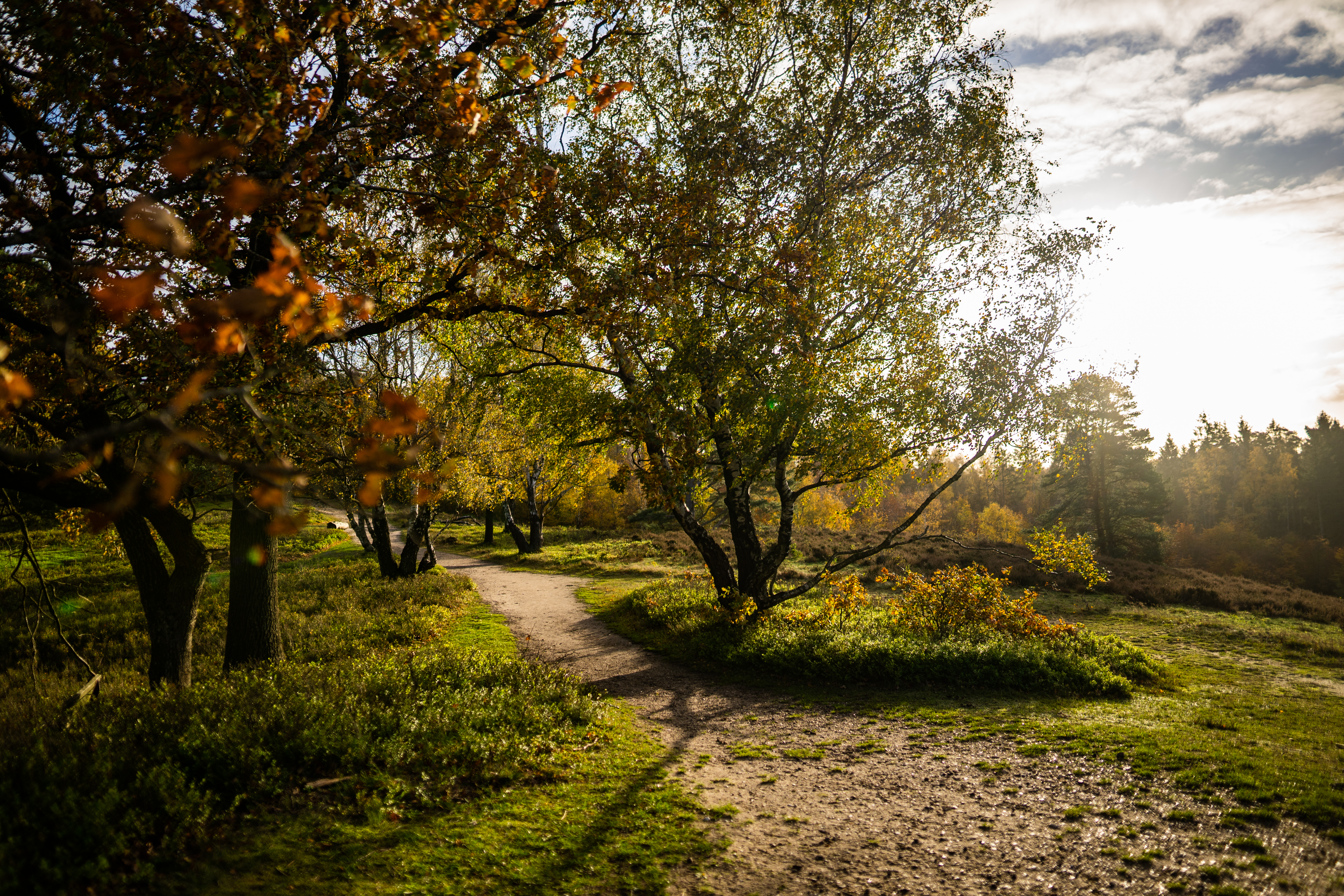 Naturpark-Wanderweg